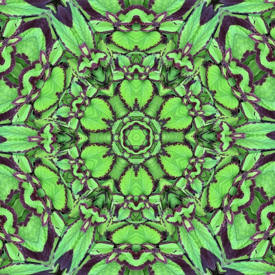 GoetterfunkenDE's tweet photo. From the art series „Götterfunken (Nature Mandalas)“
#Götterfunken #NatureMandalas #SparkOfTheGods #Art #Photography #DigitalArt #PureNature #Flowers #Plants #Meditation #Yoga #Peace #Freedom #InwardReflection #Sacred #Life #Creation #Gaia #PrimordialSource #Love #Iam https://t.co/Kicv251utb