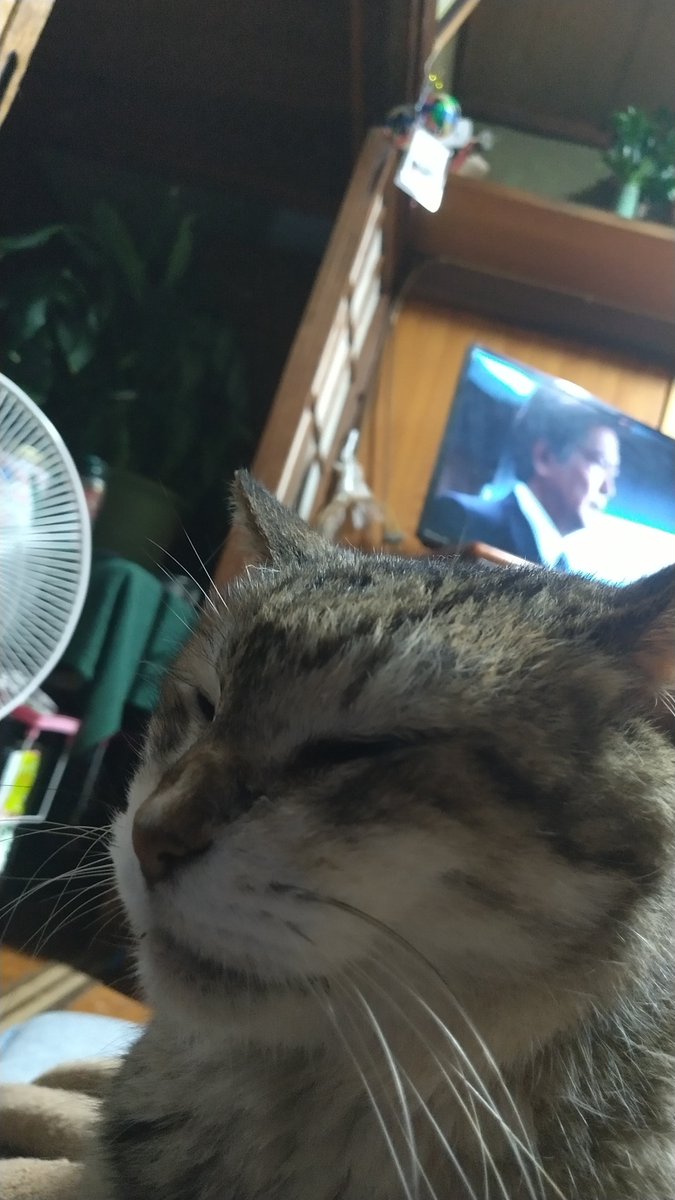 0ozedz's tweet photo. お腹の上でのビフォーアフター笑 https://t.co/cHSP3ev7kz
