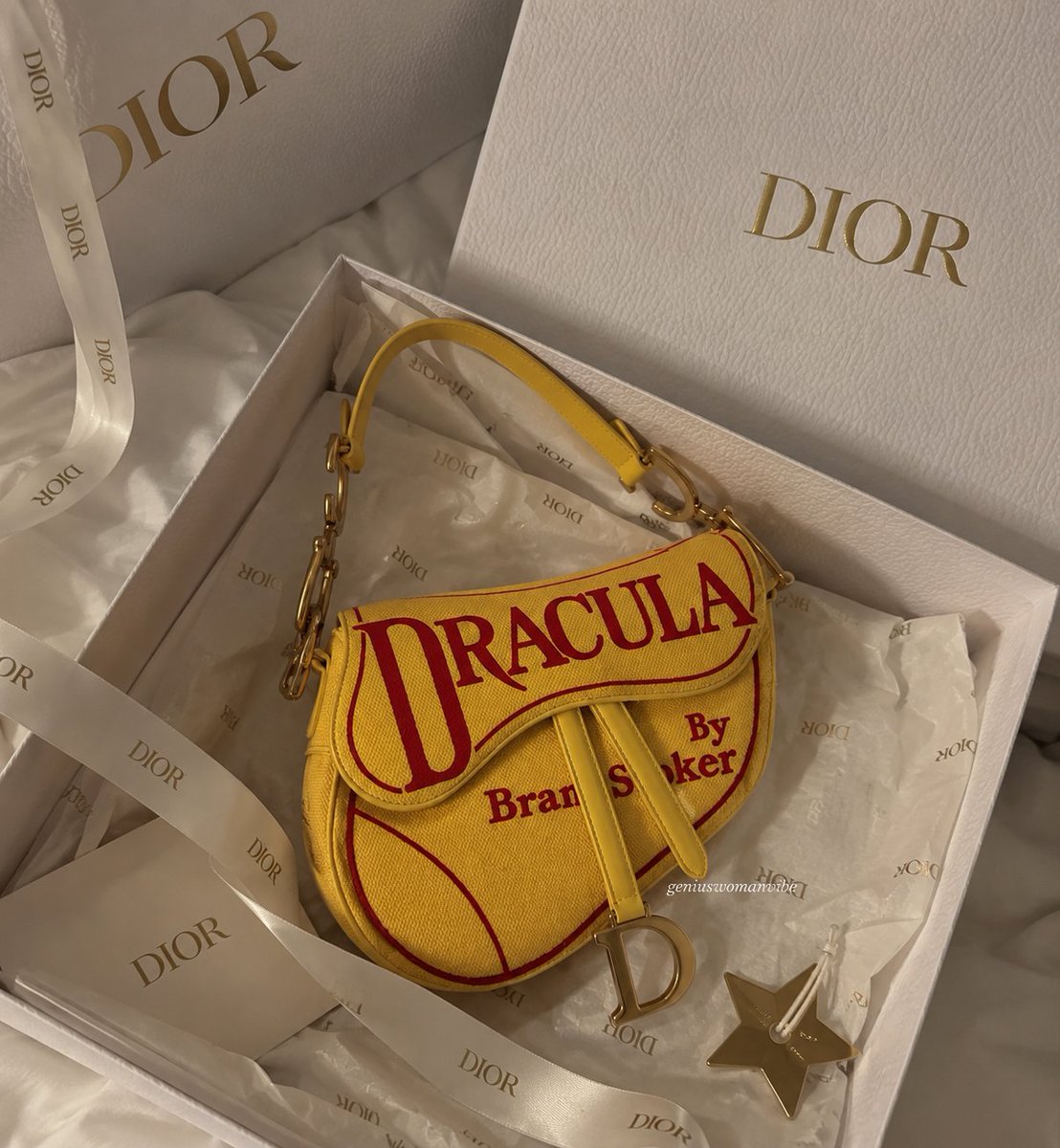 geniuswomanvibe's tweet photo. dior dracula saddle bag https://t.co/y4Et8PSlg8