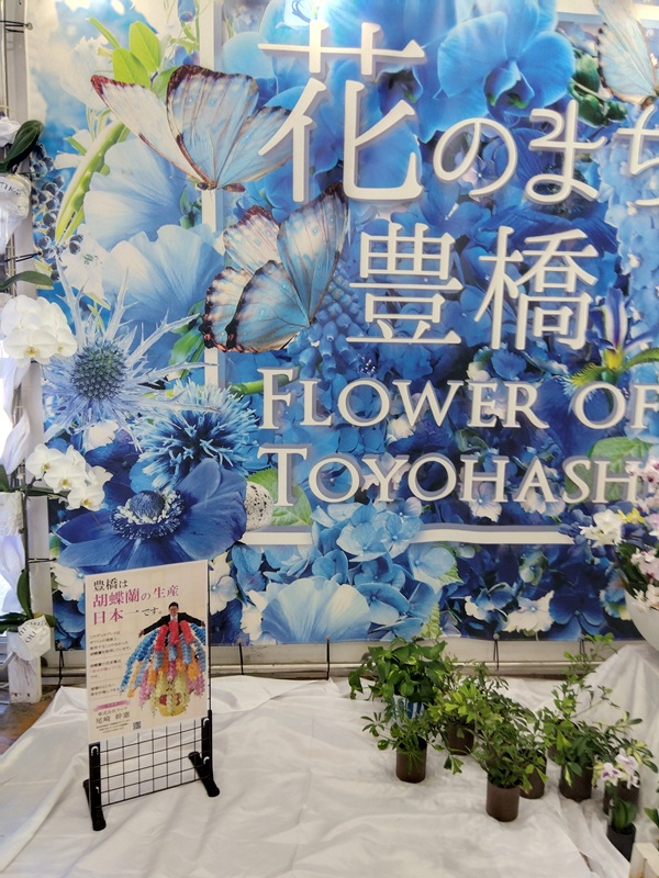 salonkato tweet picture