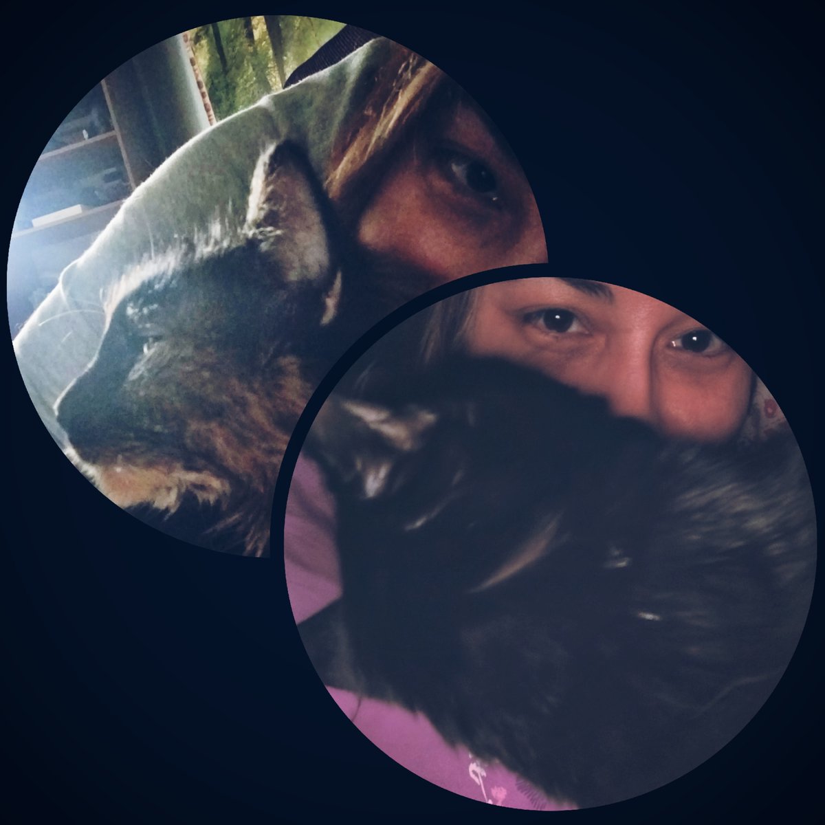 CynfulWhisper's tweet photo. Cyn! 41yo yapper

too SFW to be NSFW but too NSFW to be completely SFW🙃

💙Love:

🔪Horror 🐾Animals ☕️Coffee ✍️Writing
🔎True Crime 🏋️‍♀️Fitness 🎵Music 👻Phasmophobia
😈Diablo 🎮Fortnite

🚫DNI: Minors • MAGA • Racists • Homophobes •   Transphobes  

♡︎/RTs appreciated https://t.co/q3narv7m5V