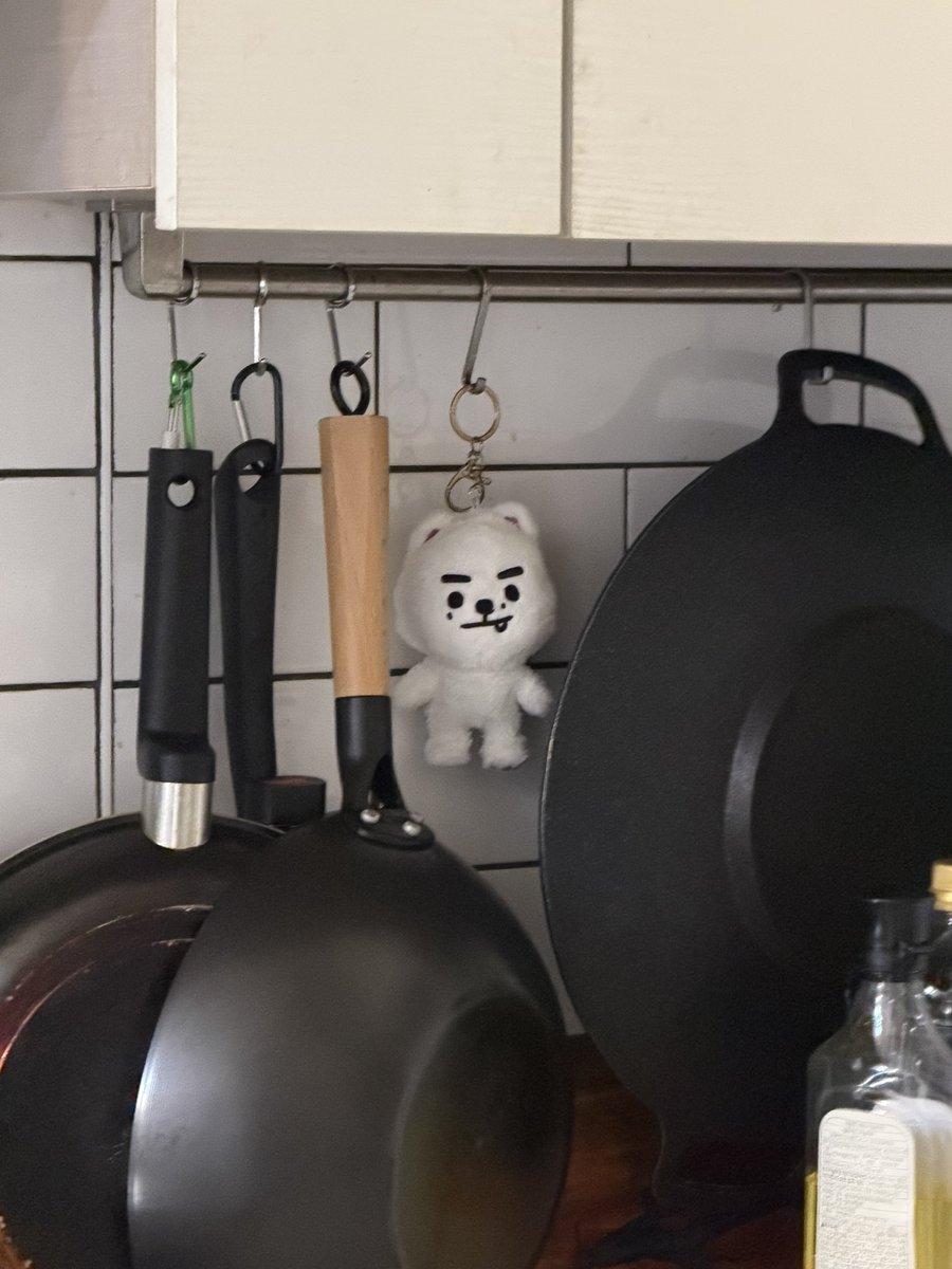 mon_g72's tweet photo. 스노위 목욕했는데 이모가 갑자기 가져가서
물기 짜주더니 주방에 걸어놨어.. https://t.co/o3KHoqfYJD