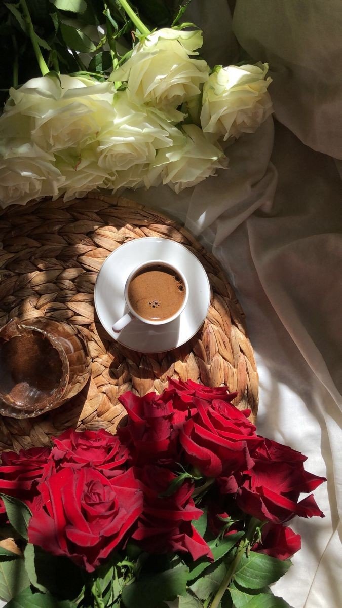 nelly5n's tweet photo. َ
#سـؤال ؟

وش تختارون: شاي ☕ ولا قهوة؟

َ https://t.co/KWfqW9an0y
