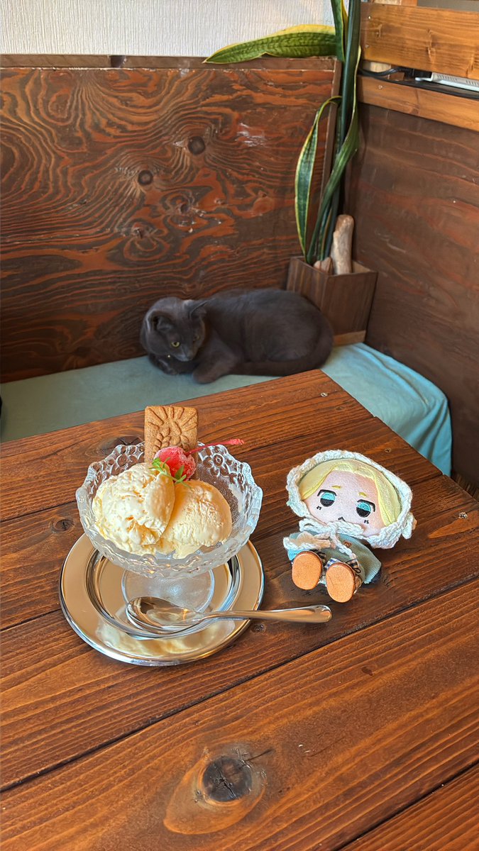 komtapi tweet picture