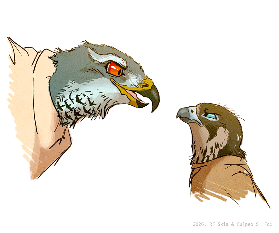 Thaisuppe's tweet photo. Tirah stared into the Goshawk's eyes, unabashed. Red eyes under stern, white brows - wise and insane at the same time. Thus was the nature of Goshawks. 
(...)
"Brave birdie", the Goshawk buzzed. "I slurped  the lot of you raw, right out of the egg." https://t.co/OrY9yOfe4G