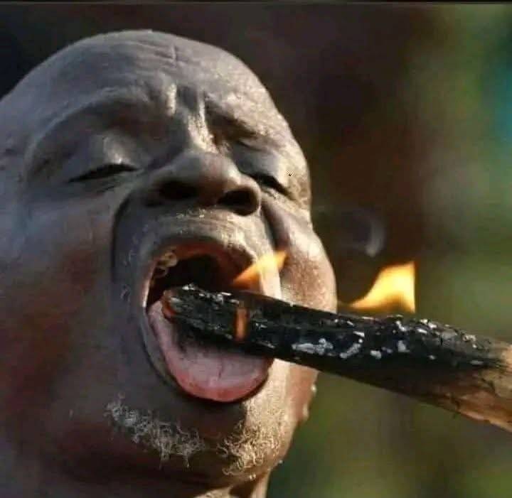 zizipho50's tweet photo. 🚨Breaking News🚨

EFF President Julius Malema has been granted leave to appeal his firearm conviction🔥🔥🔥 https://t.co/hQfAcNleQB
