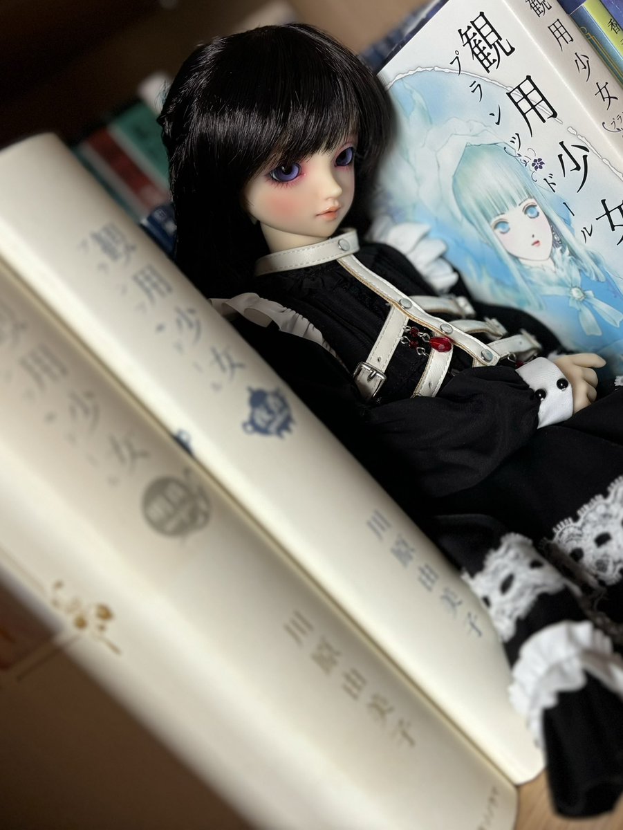 kaya3_n's tweet photo. 【固定用】うちの子一覧

VOLKS 　 #SDM_f_45
桐さん https://t.co/rQXHVxCSKn