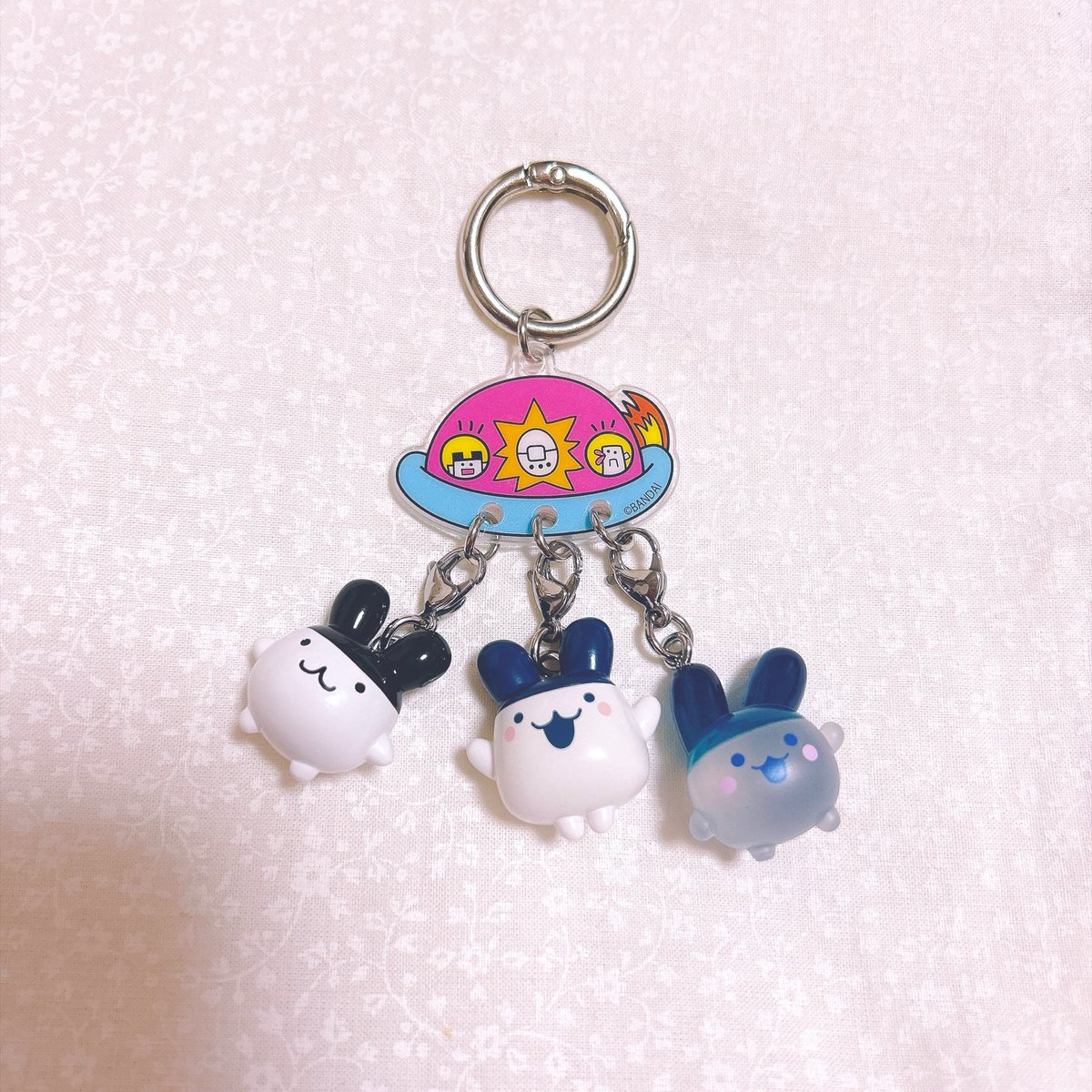 arikotchi's tweet photo. 携帯につけてどこでもいつでも一緒ܸᐢ. ̫.ᐢ ܸ︎♡ https://t.co/0zGY4c5EL5