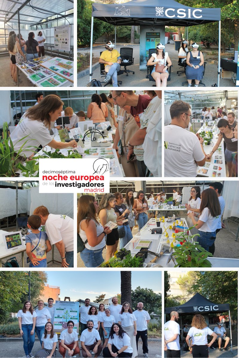 ICA_CSIC's tweet photo. Este viernes 25 estuvimos presentando 🌽"¡Agricultura en acción! Sembrando nuestro futuro" 🚜dentro de la XVII edición de  #NocheDeLosInvestigadores #EuropeanResearchersNight. No es por nada, pero quedó muuuuuy bien 😊¡Gracias por vuestra participación!
@CSICdivulga @madrimasd https://t.co/mPVTHXvfme