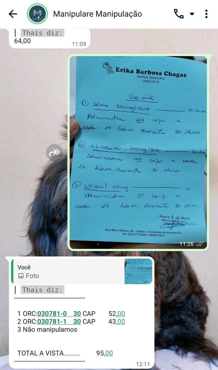 amigosdosonso's tweet photo. 🚨 Quem pode apadrinhar a Russinha doando um dos valores abaixo?

Exame de sangue: R$ 80,00
Same: R$ 52,00
Silimarina: R$ 43,00
Ursacol: R$ 147,90

✅️Pix: 2299828-1831 https://t.co/fycs50los4