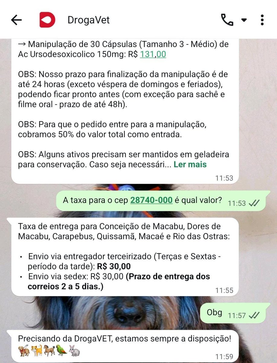 amigosdosonso's tweet photo. 🚨 Quem pode apadrinhar a Russinha doando um dos valores abaixo?

Exame de sangue: R$ 80,00
Same: R$ 52,00
Silimarina: R$ 43,00
Ursacol: R$ 147,90

✅️Pix: 2299828-1831 https://t.co/fycs50los4