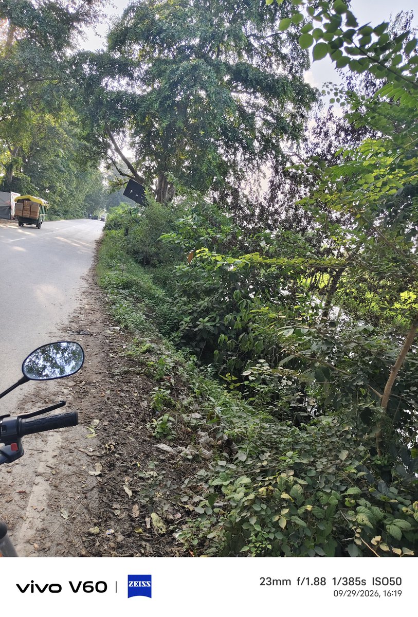 RanaHitendrasi's tweet photo. Durgapur crossing se lekar peeparpur tak itnee jhadiyan aaye din accident ka khtra bana rahta hai.kripya saaf karwane ki kripa karen.durgapur amethi road.@DmAmethi @uppwdofficial @aajtak @myogiadityanath @myogioffice https://t.co/8ZmGIBfhcV