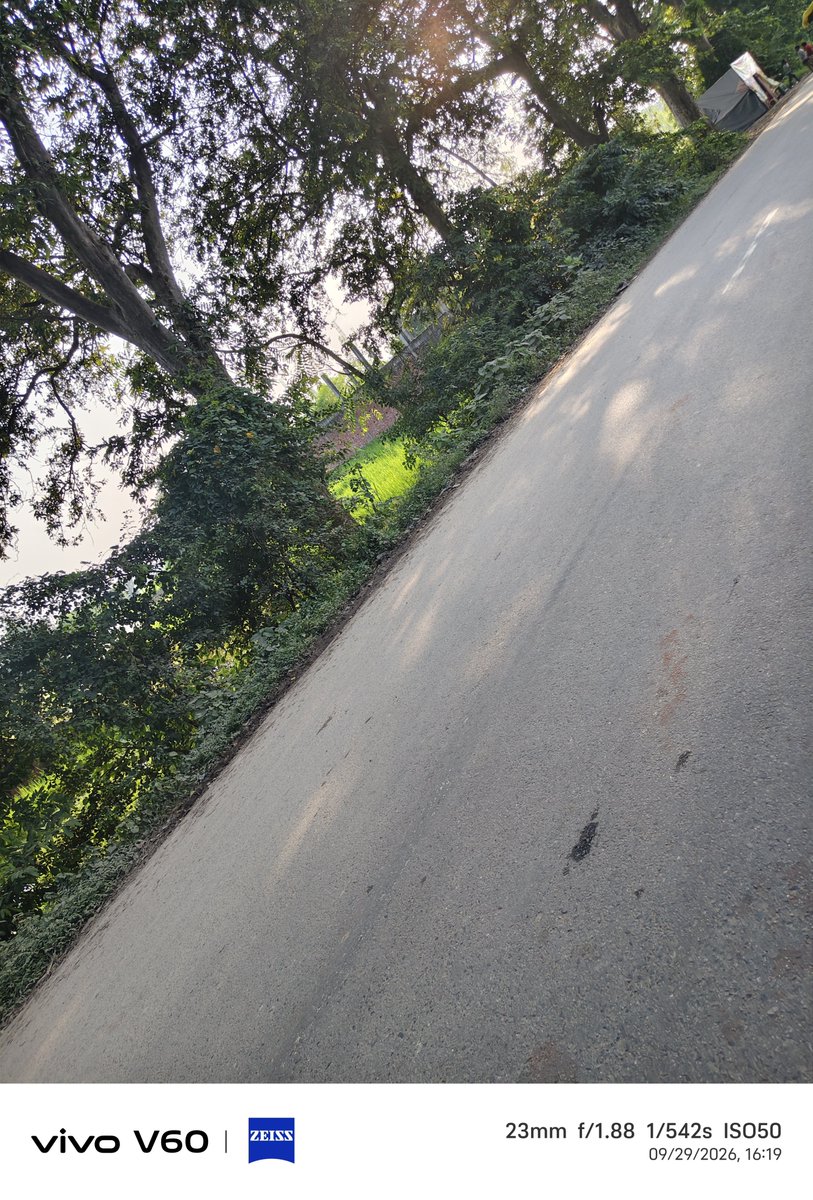 RanaHitendrasi's tweet photo. Durgapur crossing se lekar peeparpur tak itnee jhadiyan aaye din accident ka khtra bana rahta hai.kripya saaf karwane ki kripa karen.durgapur amethi road.@DmAmethi @uppwdofficial @aajtak @myogiadityanath @myogioffice https://t.co/8ZmGIBfhcV