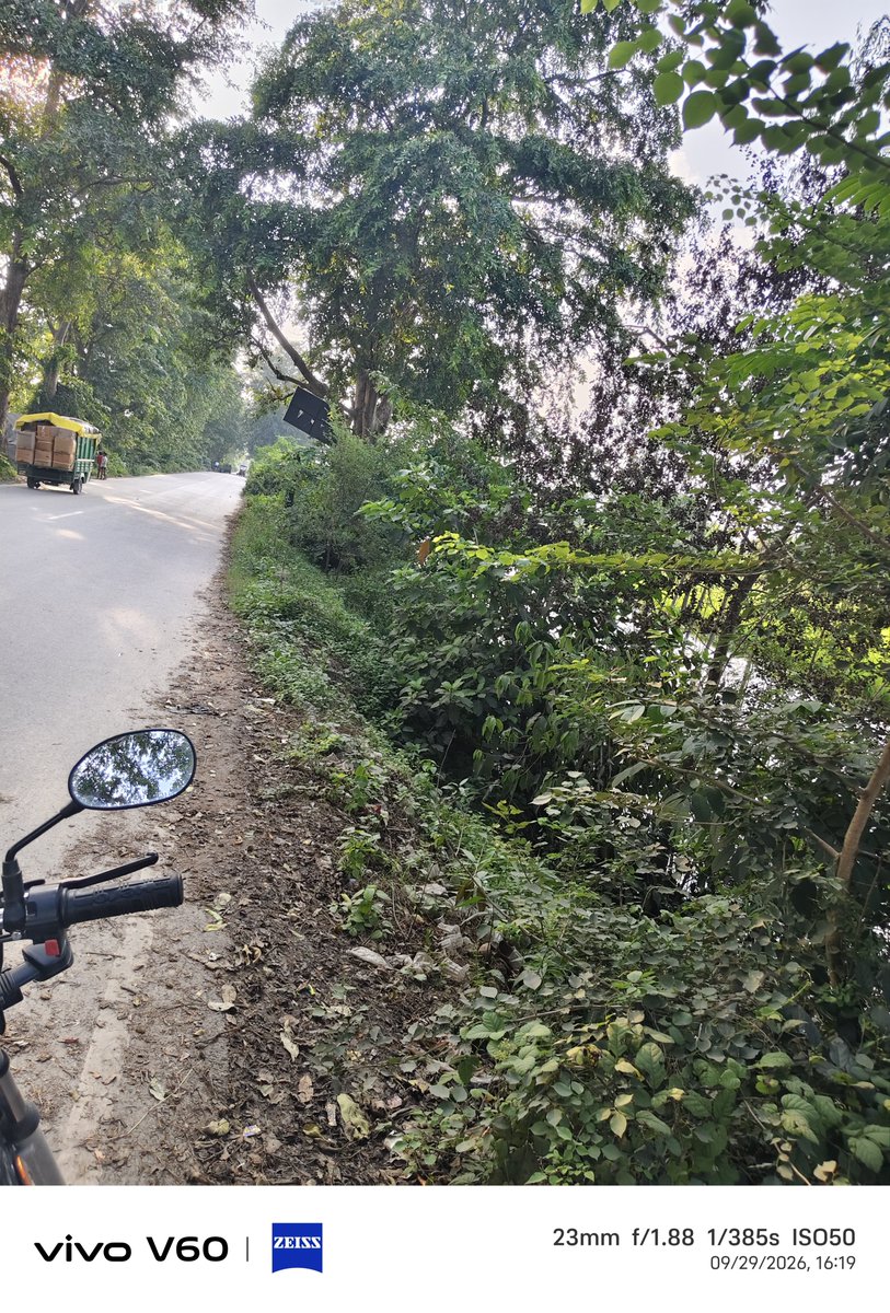 RanaHitendrasi's tweet photo. Durgapur crossing se lekar peeparpur tak itnee jhadiyan aaye din accident ka khtra bana rahta hai.kripya saaf karwane ki kripa karen.durgapur amethi road.@DmAmethi @uppwdofficial @aajtak @myogiadityanath @myogioffice https://t.co/8ZmGIBfhcV
