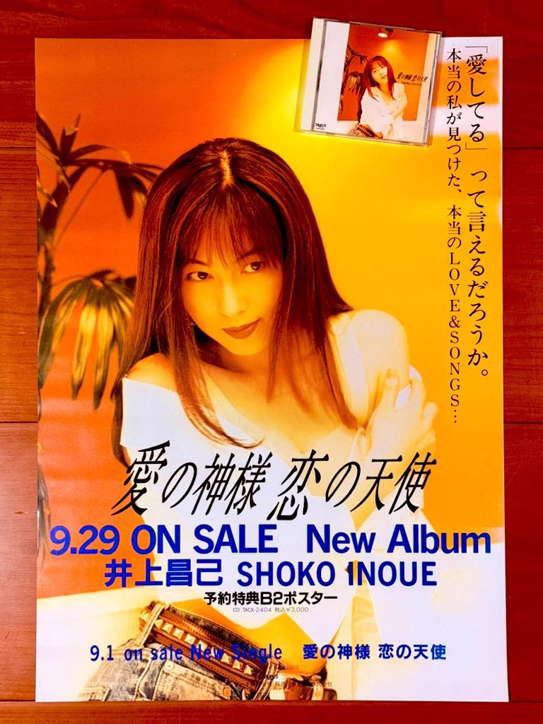 僕、そ～ゆ～の大好き™ в X: „本日で発売から33年！ 1993年9月29日