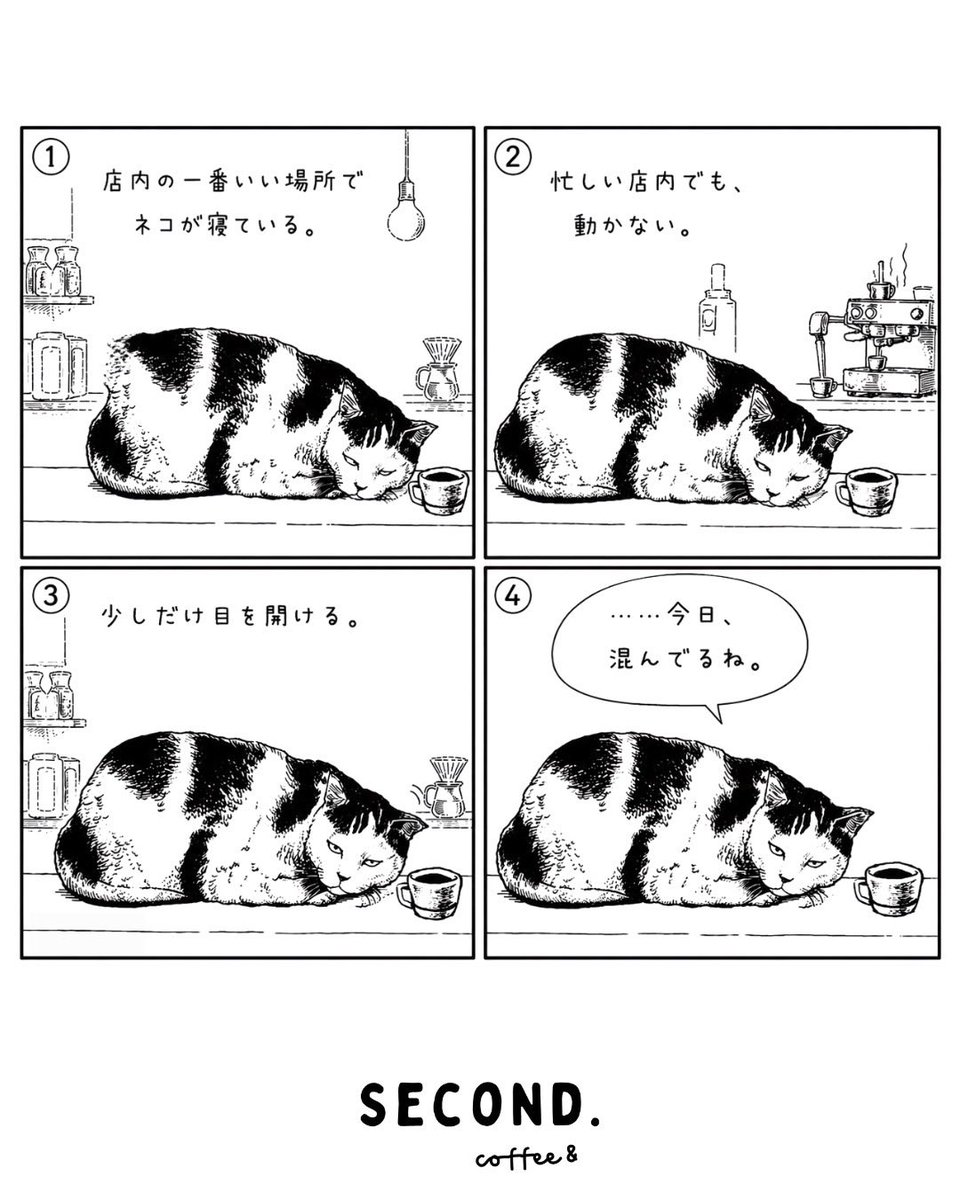 secondmanga's tweet photo. 今日も、いつもの一杯を。☕️
SECOND. coffee&amp;｜4コマ漫画

SECOND. coffee&amp;の住人
ネコ

#4コマ漫画 #コーヒー #manga #coffee #secondcoffee https://t.co/BlUkuIghEL