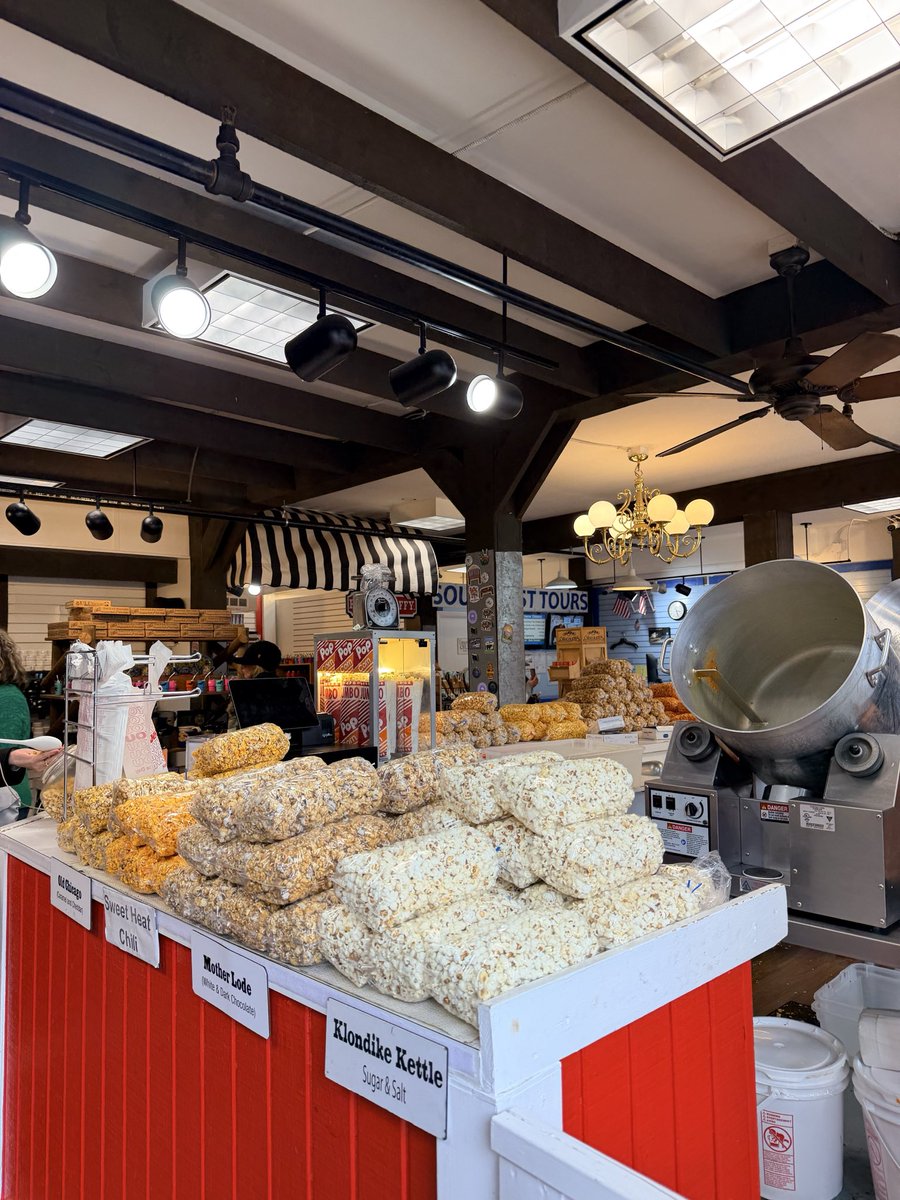d___Disney's tweet photo. 街の色味というか景観がとても好みでした🫰

#DM_DISNEY_LOG https://t.co/hl4bORVuLX