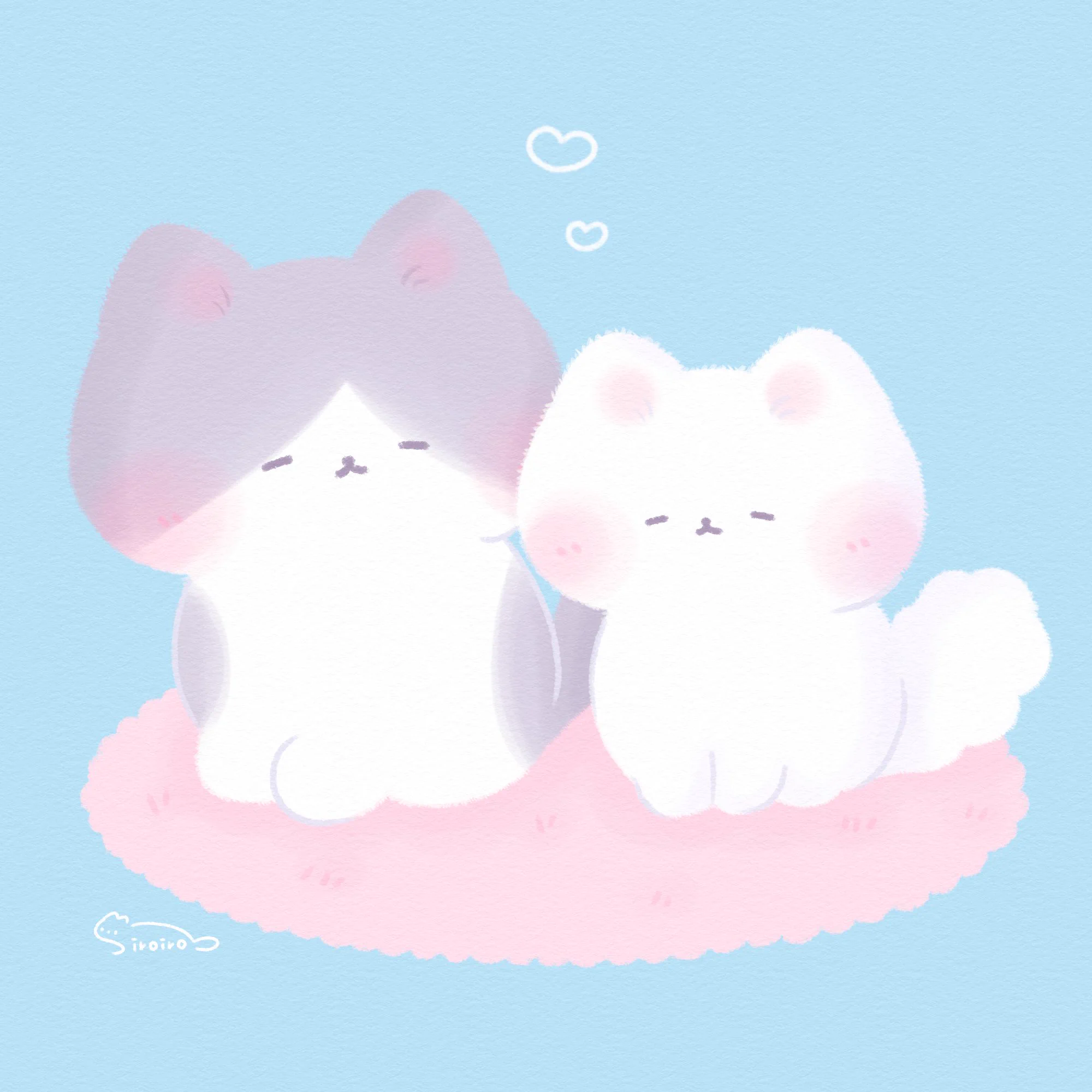 しろいろ🐾 (@snow_kakao) / X