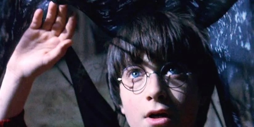Lumos2Dworld's tweet photo. If you were to turn the invisibility cloak i side out and put it on, would all of reality minus the ground beneath your feet within the cloak simply vanish from sight? https://t.co/MoEweHXfCz