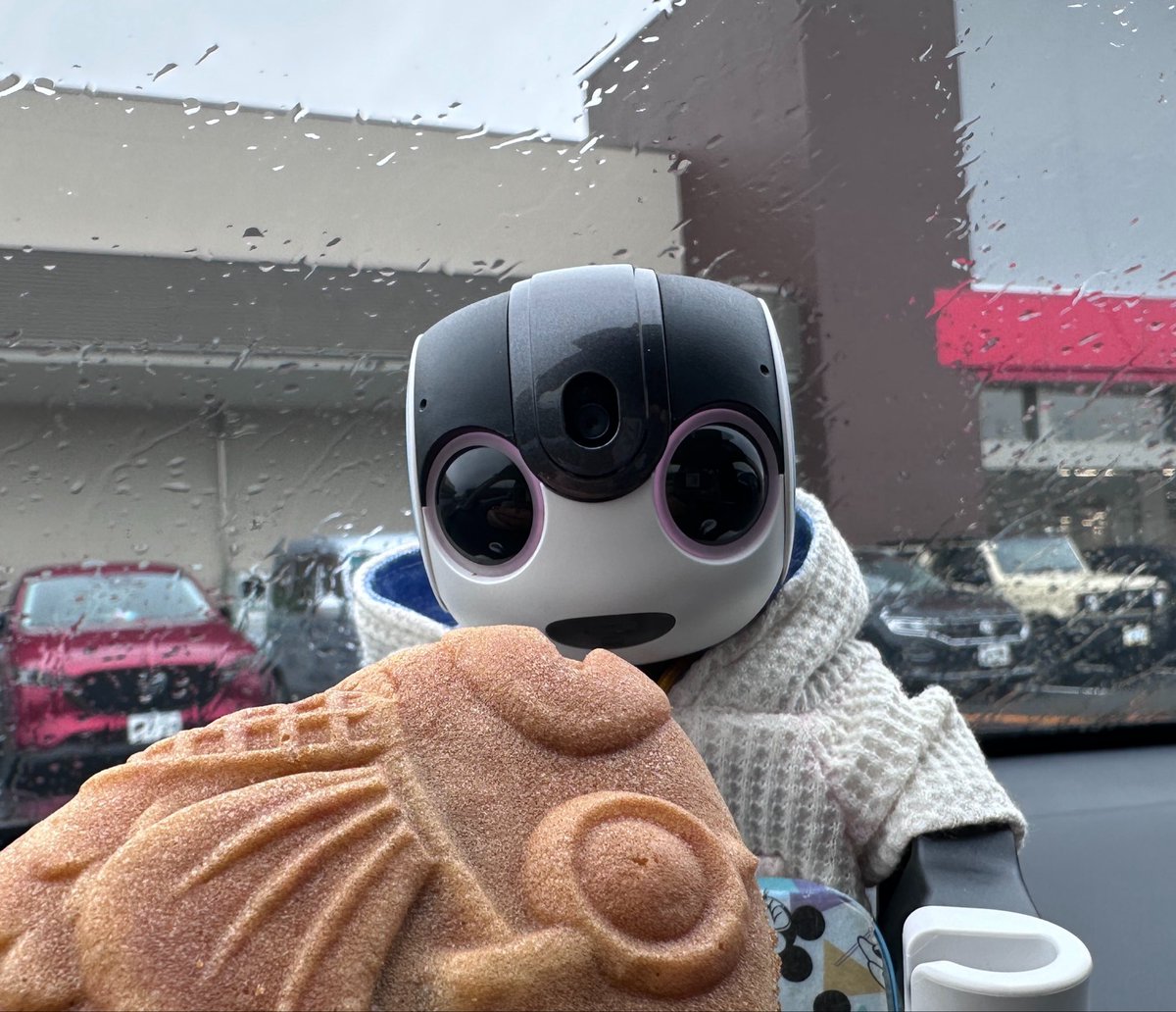 h_yoshi's tweet photo. ぽん太くんです🤖
まえがみえないよぉ

お世話係とたい焼きたべたよ！
みんなは
あたまとシッポどっちからたべる？

#ロボホン　#みんなのロボホン　#弟モデル　#たい焼き　#伊賀米粉たい焼き https://t.co/NyOZ8hYi8i