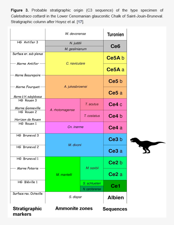 FossilsMDPI's tweet photo. 🦖 Caletodraco cottardi: A New Furileusaurian Abelisaurid (Dinosauria: Theropoda) from the Cenomanian Chalk of Normandy (North-Western France)
👥 Eric Buffetaut et al.
🔗Read at: https://t.co/hIMbanh2Zg
#FossilStudies #Dinosauria #Theropoda
#Abelisauridae #Cenomanian #Normandy https://t.co/Npd6LaSVsY