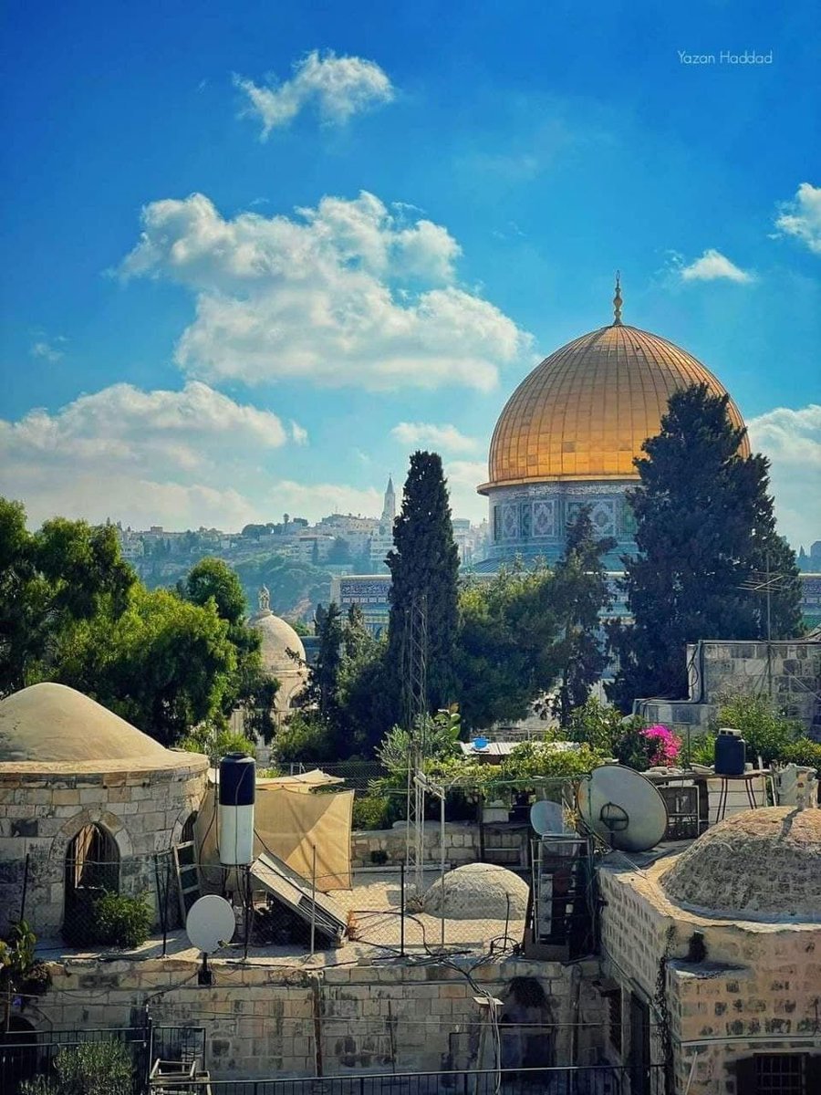 AqsaMosq's tweet photo. صباح الخير من قلب العاصمة الأبدية 🇵🇸 https://t.co/Bn9Cpdqkwy