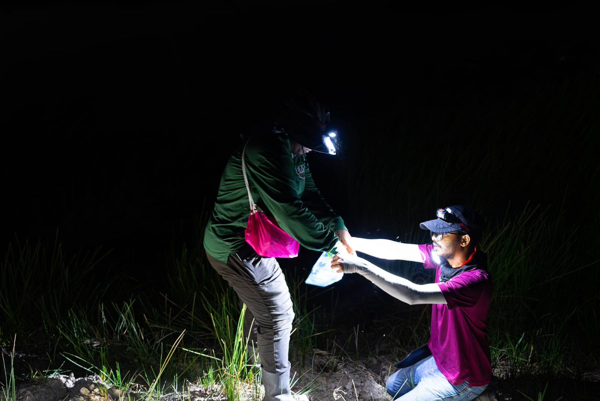EmcGuyana's tweet photo. At EMC Inc., we provide comprehensive biodiversity assessment services across all taxonomic groups, combining field expertise, scientific methodologies and technology to generate reliable data that supports environmental planning and decision-making. https://t.co/RdKIydoAIP