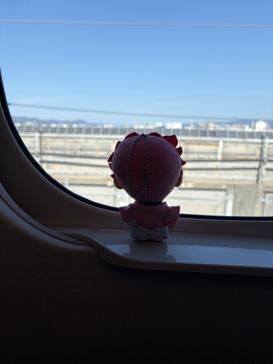 asterisk3crsm's tweet photo. 微力ですがご支援をば
少ないぬいの写真で晴れてる画像かき集めてきました
どうぞすべての皆様が曇り一つなく心の底から楽しめる日でありますよう
#10月1日を晴れにするための仮住祭 https://t.co/VLfrLKG93M