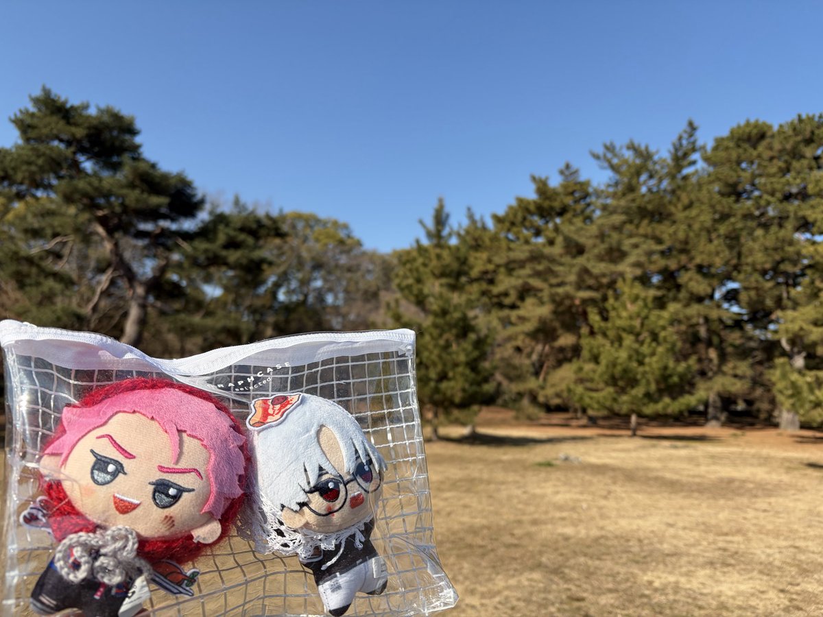 asterisk3crsm's tweet photo. 微力ですがご支援をば
少ないぬいの写真で晴れてる画像かき集めてきました
どうぞすべての皆様が曇り一つなく心の底から楽しめる日でありますよう
#10月1日を晴れにするための仮住祭 https://t.co/VLfrLKG93M