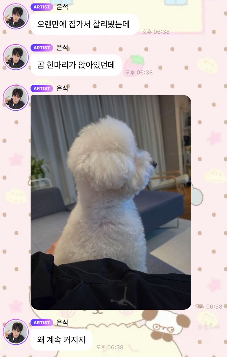 dor1il's tweet photo. 개웃기네 찰리 왜 점점 커지냐고 곰이러네ㅋㅋㅋㅋㅋㅋㅋㅋㅋ���ㅋ https://t.co/ClEVxDMVq0