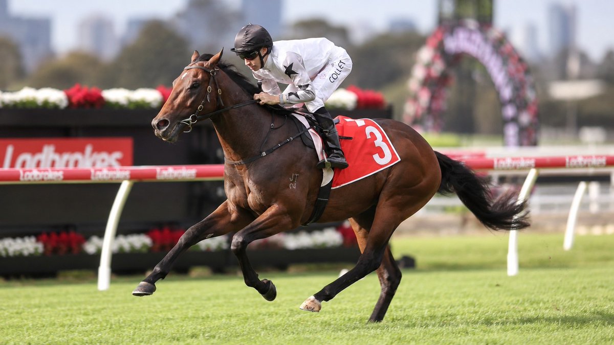 RaceHubNow's tweet photo. The Next Episode ($2.40) and Natural Fling ($3.50) dominate early markets for Saturday's Group 2 Danehill Stakes at Flemington, a rematch of January's Magic Millions, where the colt beat the filly in a runaway. https://t.co/mqM1Iisw06