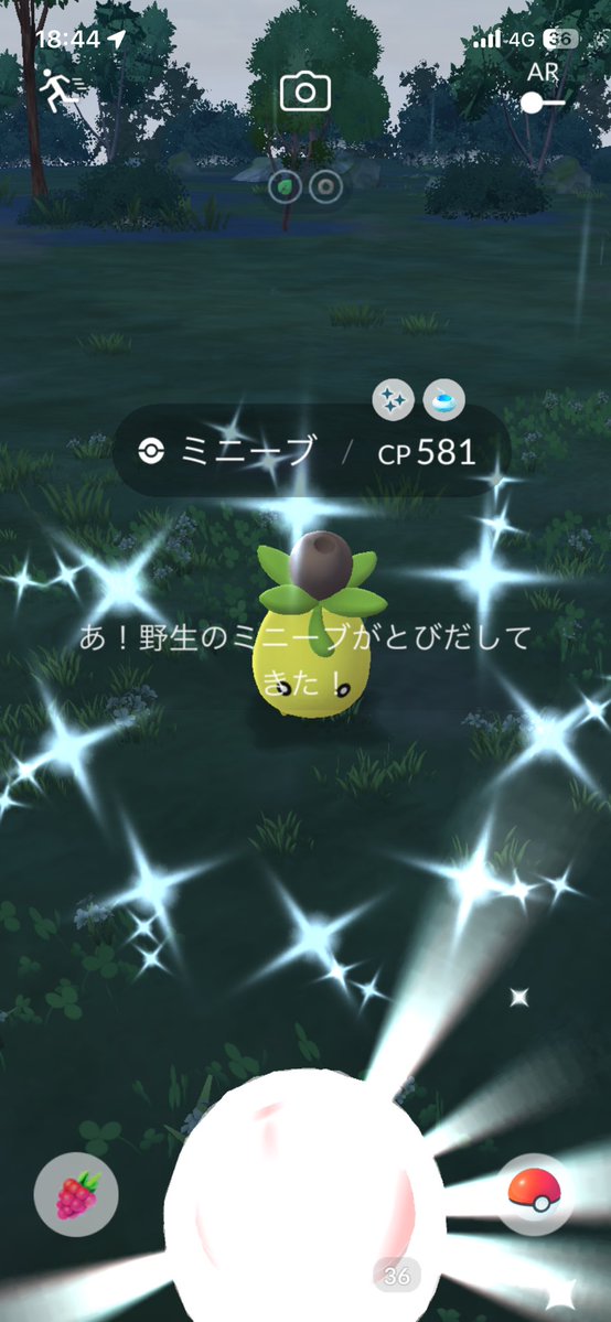 77ese_'s tweet photo. レベル75にレベルアップ！
次はプラチナメダルが2つ足りないから時間掛かりそう
ハーブルアーから色違い花飾りモンメン
おさんぽおこうから色違いミニーブ
#ポケモンGO #色違いポケモン https://t.co/07mUzYdOSK