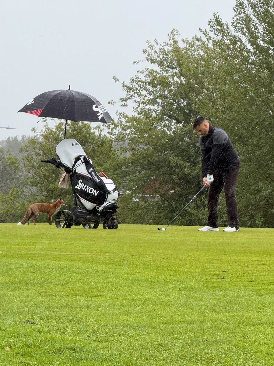 Compassion_uk's tweet photo. A fantastic day of golf, fundraising and coming together for great causes, 18/09/2026 💚

We were delighted to take part and be supported by @PGL_Pipelines at their Memorial Charity Golf Day, held in memory of Philip Ling and raising funds for Compassion in Action and Mind. 

A huge thank you to everyone at @PGL_Pipelines and everyone who took past for their incredible support and generosity. It means so much to us and helps us to continue the work we do in our community. 

And it wouldn’t be a golf day without a little unexpected visitor making an appearance. 🦊

Thank you, @PGL_Pipelines ⛳️

#GolfDay #Mind #CIA #Fundraising #PhilipLing