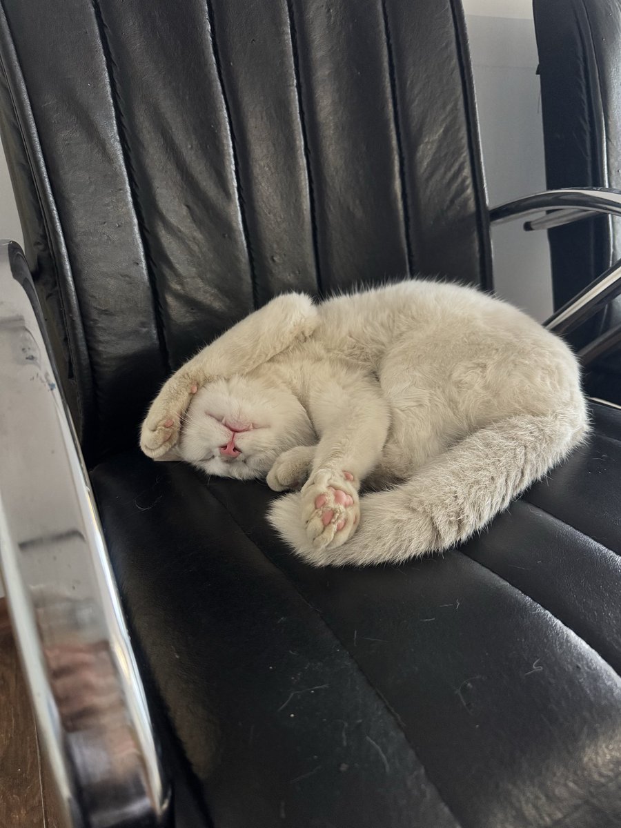 MerweHNM's tweet photo. Ofis onunMuş istediği gibi uyuyabilirmişş🤦‍♀️😂 https://t.co/WX5vESbi4I