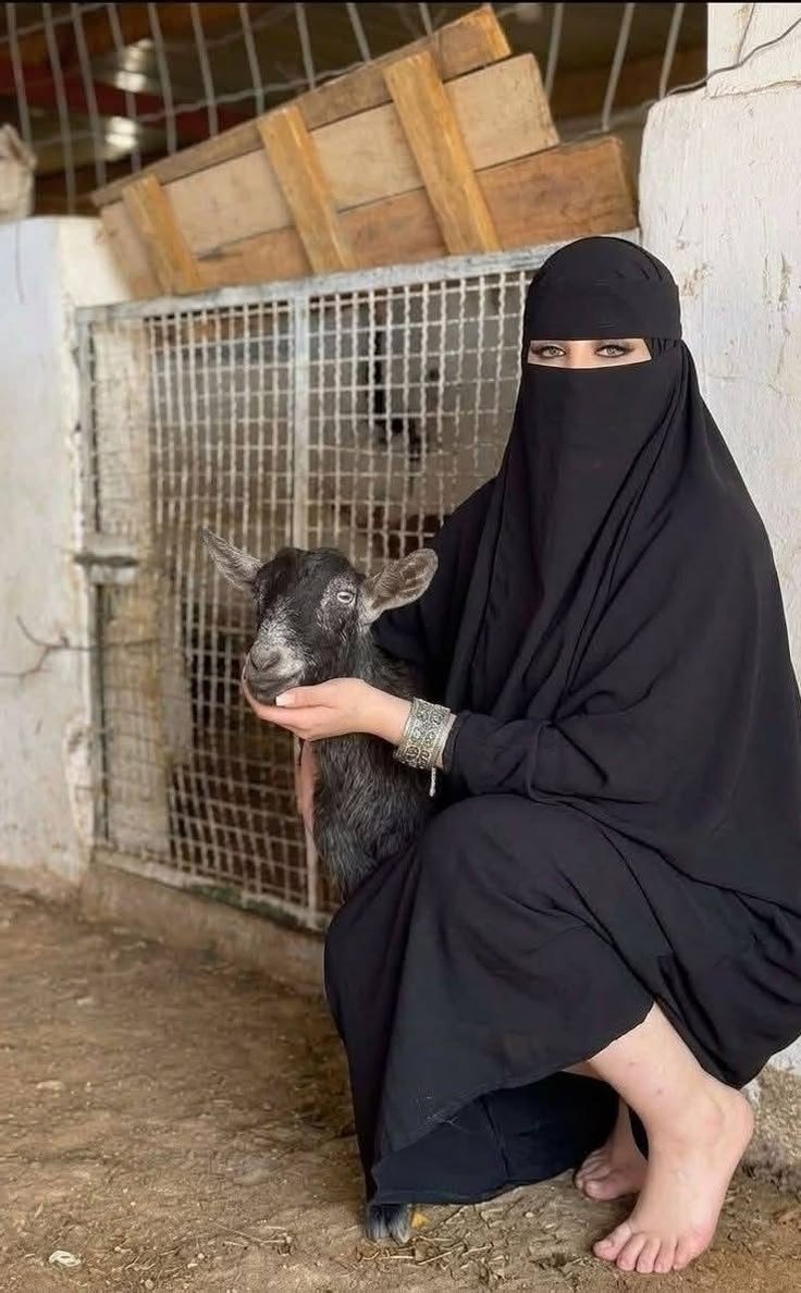 mo4zpv's tweet photo. مهما كانت المرأة قوية فهي دائما محتاجة رجل في حياتها

  صح او غلط 😜 https://t.co/YgBhpeoiHI