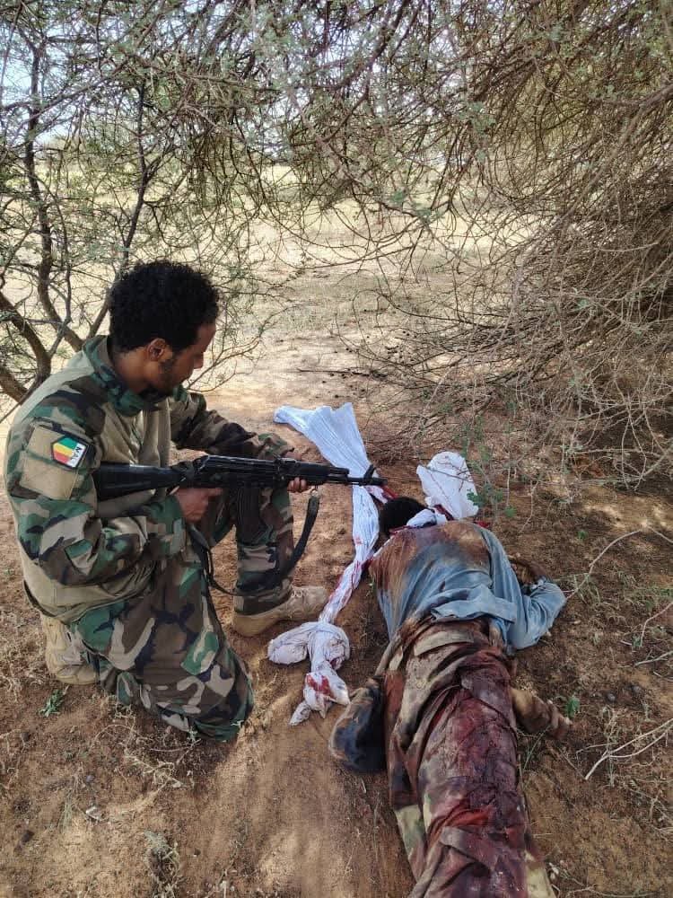 Said_223_K's tweet photo. Plusieurs terroristes ont été neutralisés hier entre Ansongo et Ménaka par une patrouille des FAMa, appuyée par leurs partenaires locaux (MSA-GATIA) et INTERNATIONAUX (African Corps) . 🇲🇱🤝 🇷🇺 https://t.co/ECIkHg5SqZ