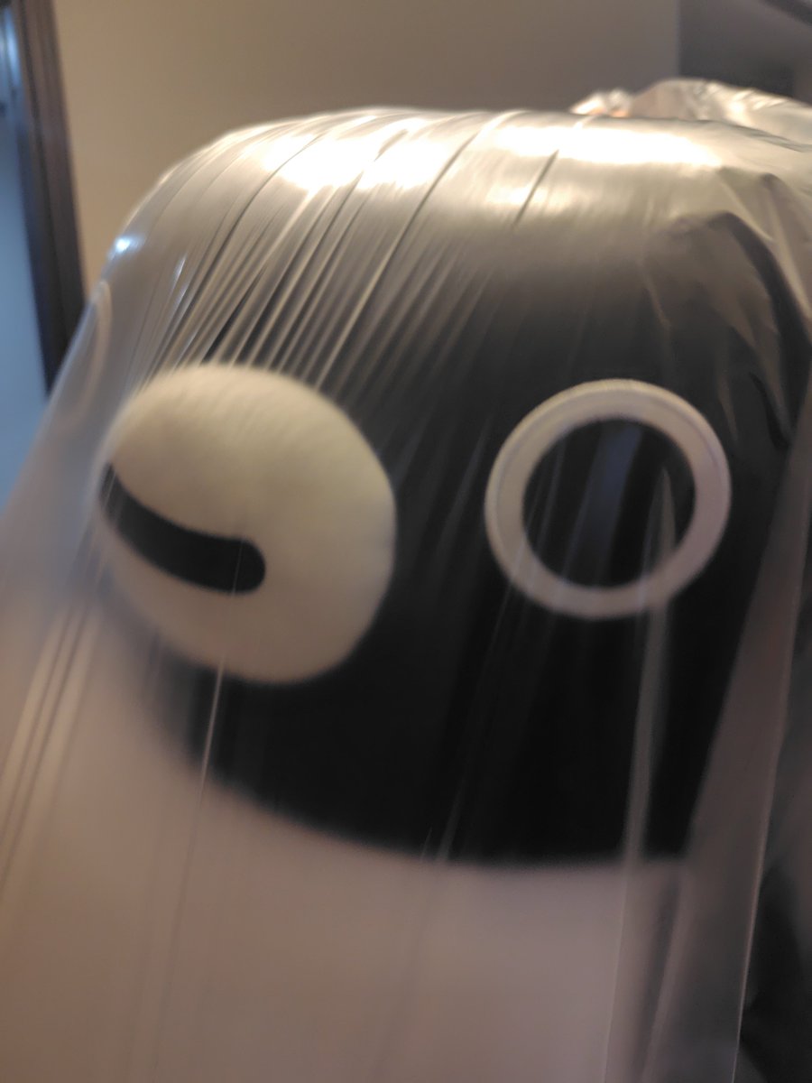 meglasshopper's tweet photo. 我が家にもいよいよYogibo Suica ペンギンがやってまいりました。
でかい！
ヤマト運輸のおにいさんがニコニコしていてほっこりしました。 https://t.co/md8IIe59Yu