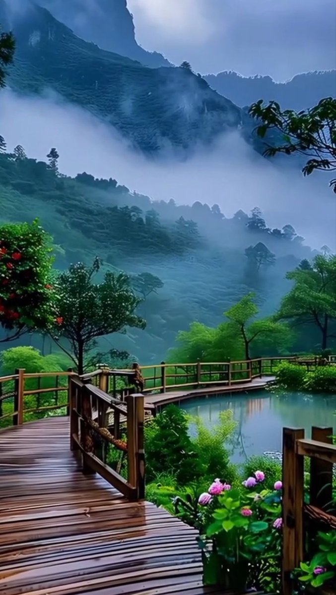 DesignWorld_x's tweet photo. Mist on the mountains, rain on the boardwalk, and not a worry in sight. 🌧️🌿 https://t.co/FDfVzSHnG9