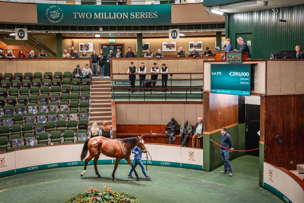 Goffs1866's tweet photo. Mags O'Toole signs the docket on behalf of Rob Acheson's Kilnagornan Stud for Lot 279 (Sioux Nation x Starlite Sienna), sold by Riversfield Stud for €390,000. 

#ThinkOrby https://t.co/GbHXAF5VSo