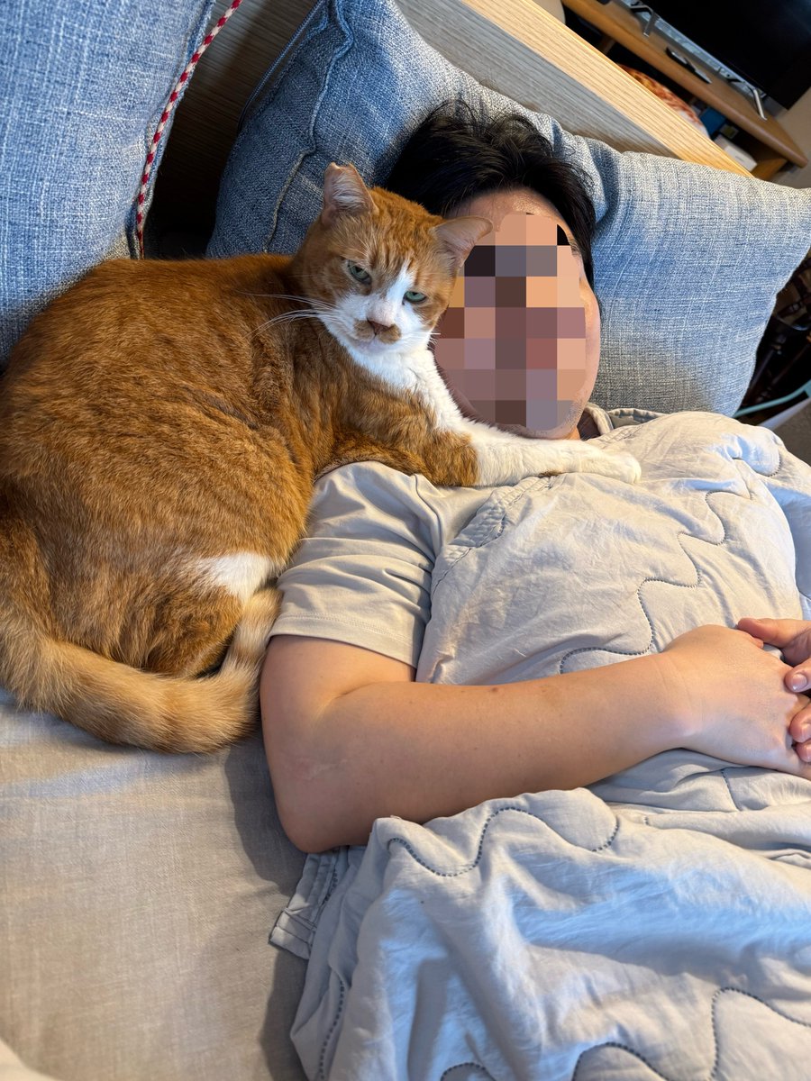mitoconcon's tweet photo. 昨日夜中に地震で起きて寝不足だったので仕事の後少し仮眠してたのだが、猫がずっと私の安眠を守ってくれていたことを後から妻に教えてもらいました。 https://t.co/CBDIqO9p4K