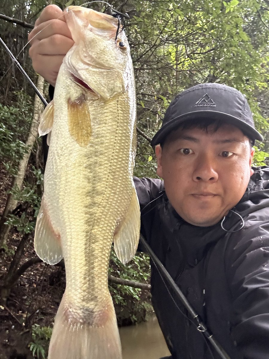 phvmyv's tweet photo. 今日の三島湖
でかいの釣ると息巻いてノンライブで挑むも平凡なサイズと平凡な数で終わってしまった😂
反応が良かった豊英筋をもっ��丁寧にやれば良かった😇😇😇
#三島湖
#ともゑボート
#房総リザーバー https://t.co/UGcoJLs7C8