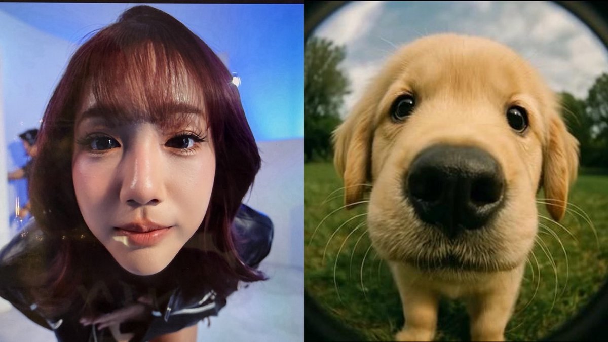 KKwang331's tweet photo. 🐶🐱 https://t.co/HZ7lJNuLsC