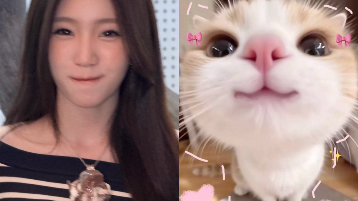 KKwang331's tweet photo. 🐶🐱 https://t.co/HZ7lJNuLsC