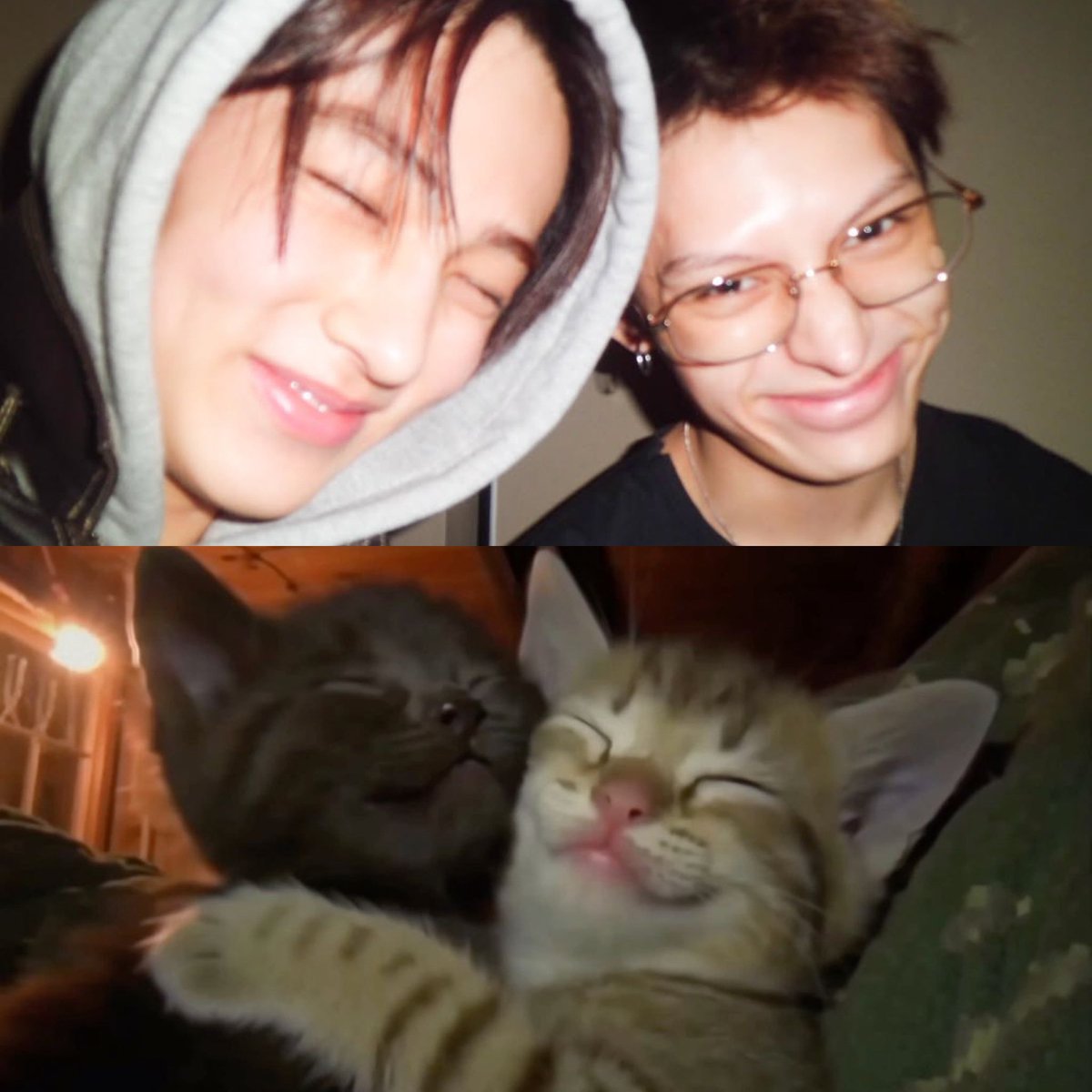 withcortis4life's tweet photo. the kitty duo in cortis https://t.co/iQ13axHQV4