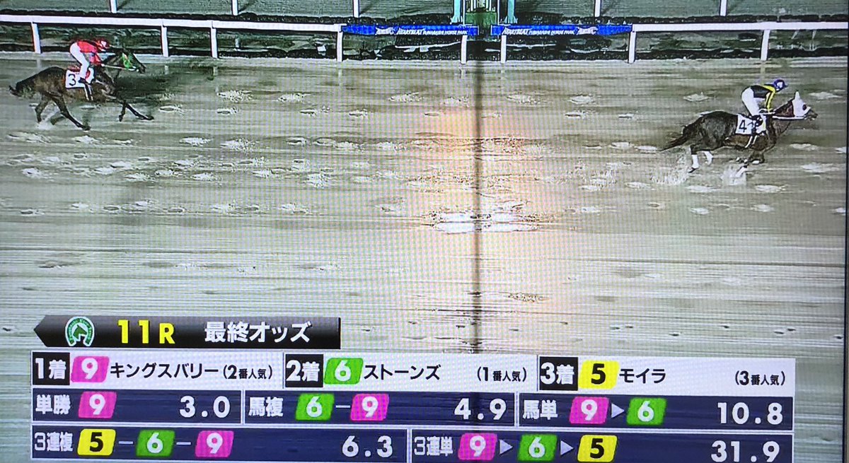 FreezeboyLoves's tweet photo. あらあら、さされちゃったわね https://t.co/vzK0qutG81