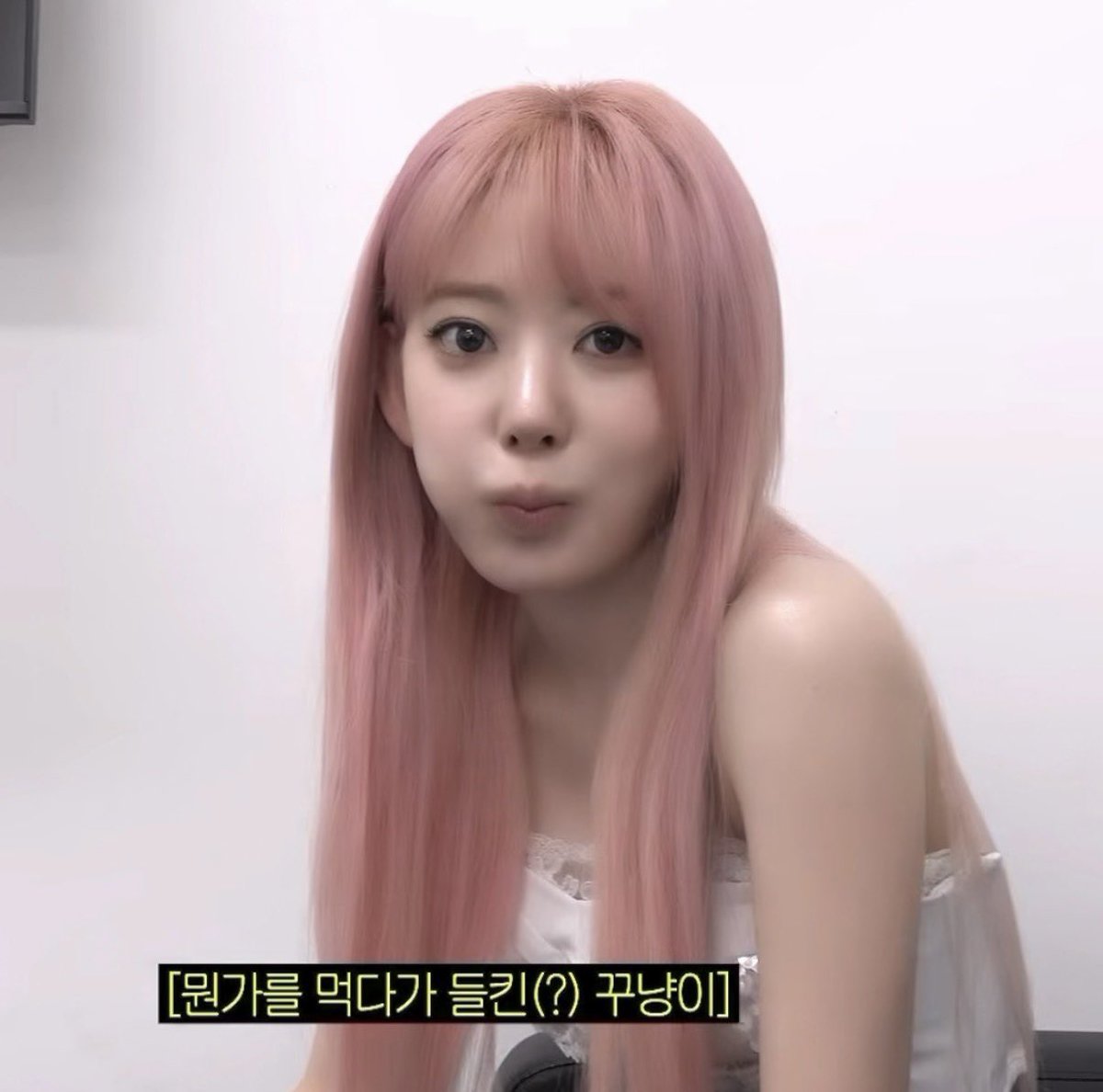 mul03198's tweet photo. 사쿠라 고양이 말도 안되. https://t.co/nZiyXix696