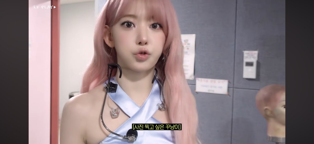 mul03198's tweet photo. 사쿠라 고양이 말도 안되. https://t.co/nZiyXix696