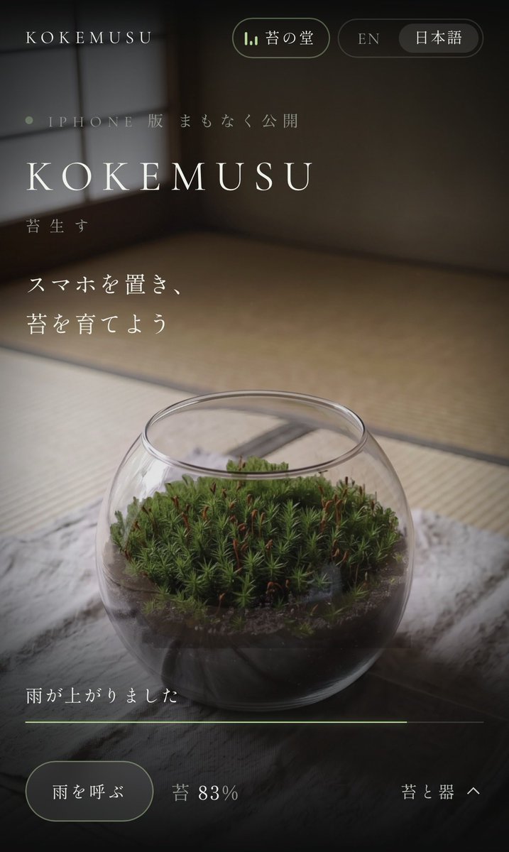 stemsjp's tweet photo. LP公開しました🌱
アプリはまだ審査中ですが、器や品種のカスタムから苔生すまで体験できますので触ってみてください！#shipaton https://t.co/0zIH9KwuEP