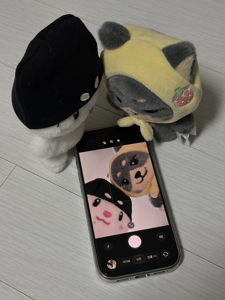 mydohooniya's tweet photo. 쪽이와 도쥬니 https://t.co/VBSHxJqlcL