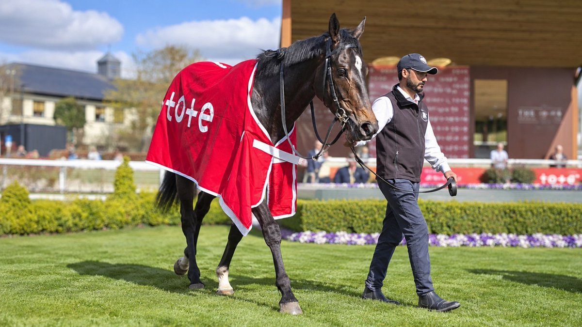 RaceHubNow's tweet photo. Joseph O'Brien will take nine runners into his bid for a third Melbourne Cup. Starford, Small Fry, Kizlyar and Omni Man are already at Werribee, and last year's runner-up Goodie Two Shoes leads five more serving two-week quarantine in Ireland. https://t.co/Qh5dzGpZdw